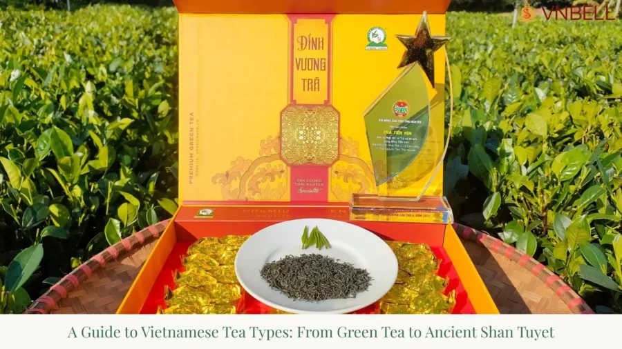 A Guide to Vietnamese Tea Types: From Green Tea to Ancient Shan Tuyet