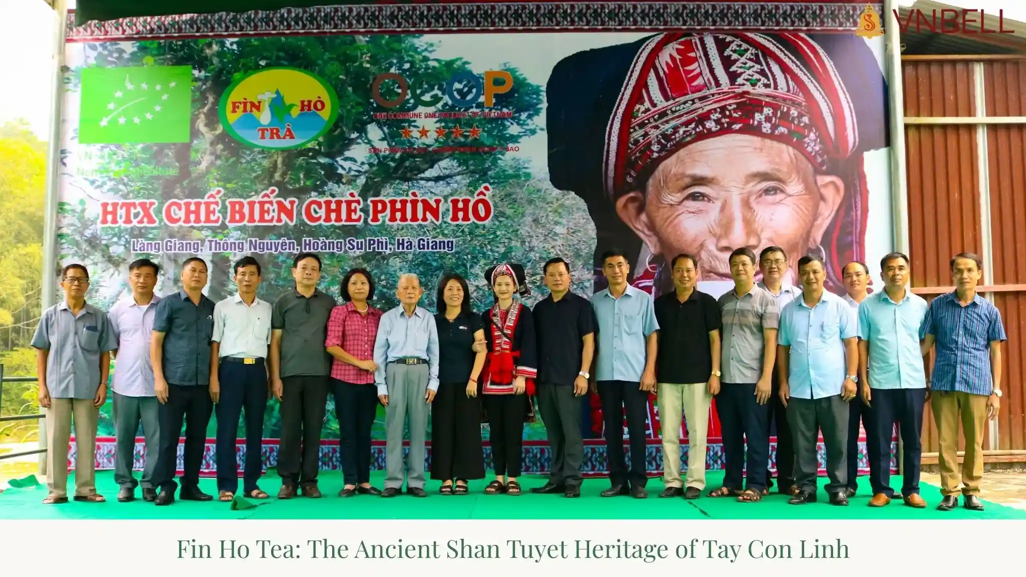 Fin Ho Tea: The Ancient Shan Tuyet Heritage of Tay Con Linh