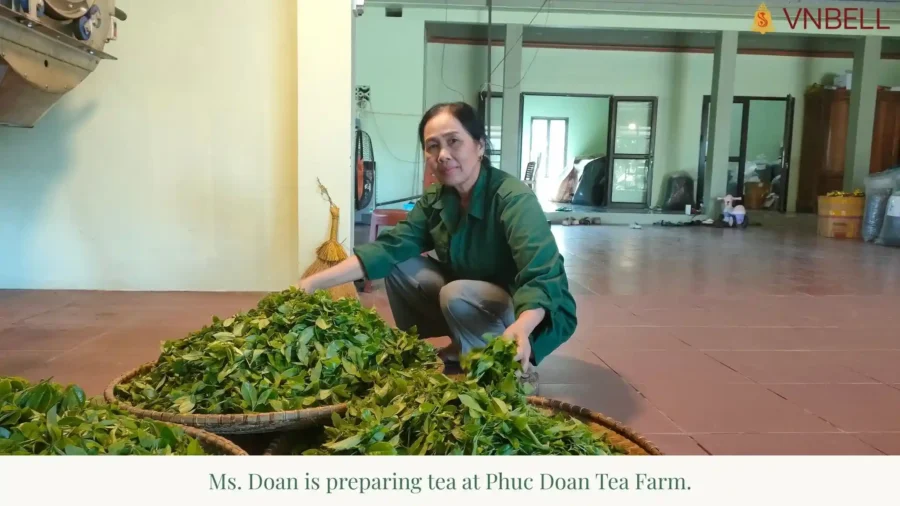 Ms. Doan is preparing tea at Phuc Doan Tea Farm.