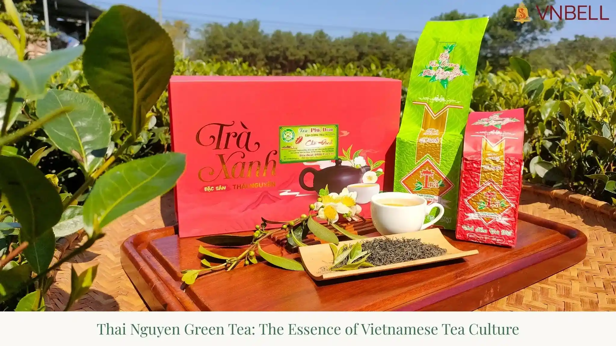 Thai Nguyen Green Tea: The Essence of Vietnamese Tea Culture