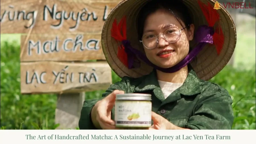 The Art of Handcrafted Matcha: A Sustainable Journey at Lac Yen Tea Farm