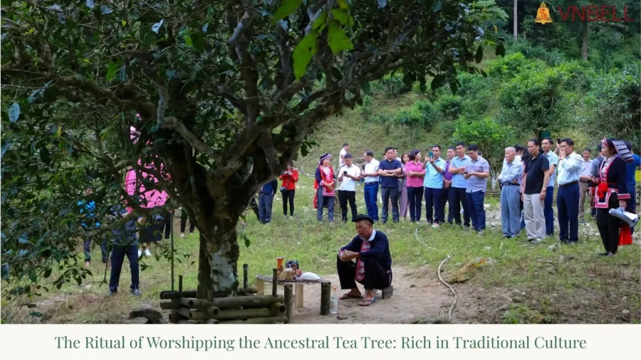 The Ritual of Worshipping the Ancestral Tea Tree Rich in Traditional Culture