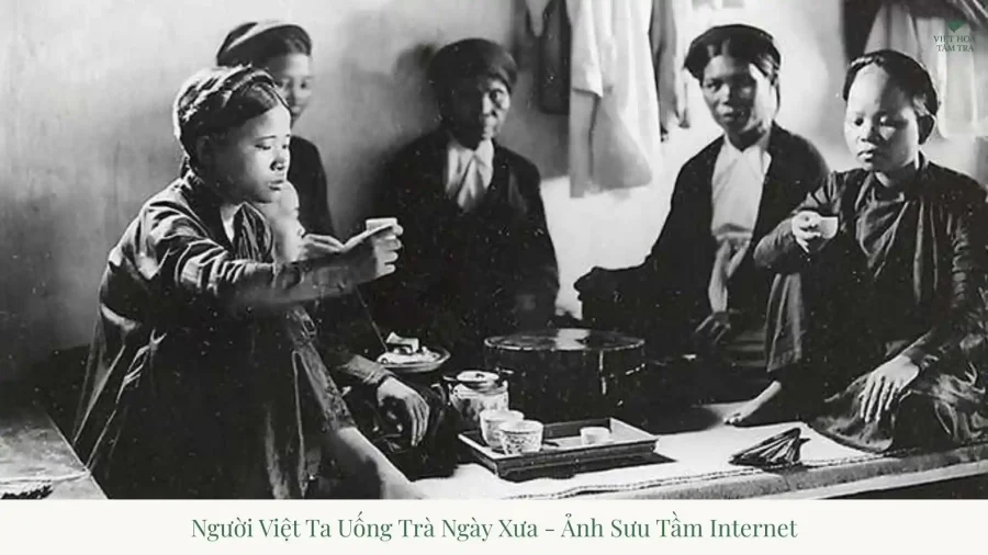 Tea in Vietnamese Life: A Journey from Royal Palaces to Villages