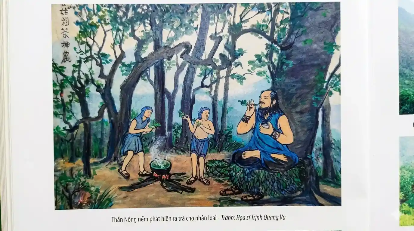 Vietnamese Tea Civilization: 5000 Years of History & Philosophy