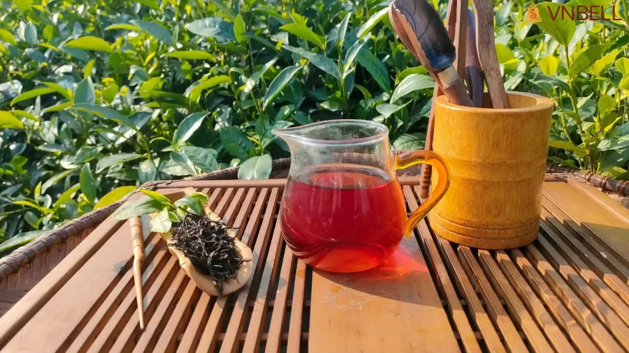 What is Red Tea? Red Tea vs. Black Tea: The Ultimate Guide