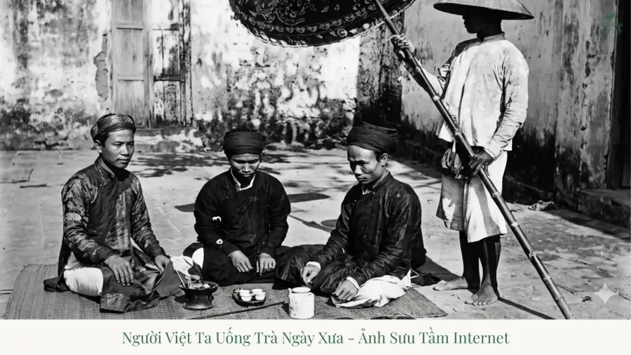 What is Vietnamese Tea Wisdom? The Way of Tea & Life Philosophy