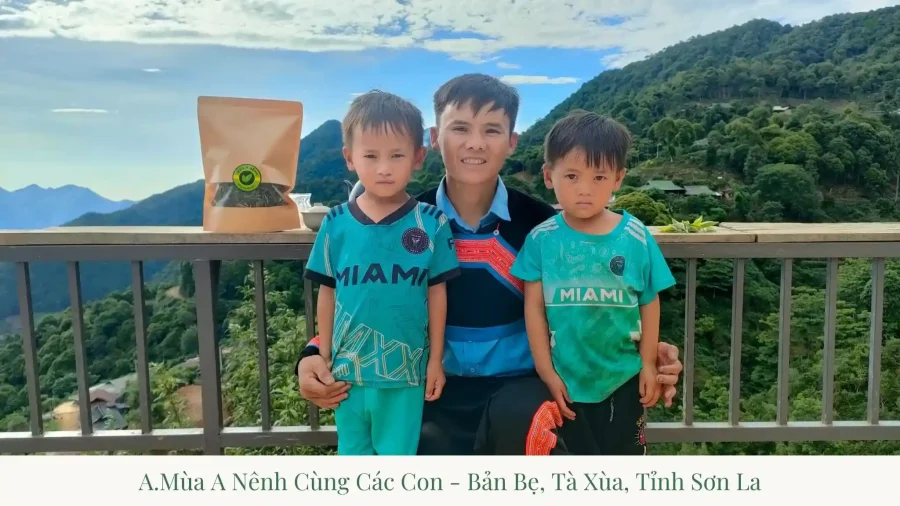 A Mùa A Nênh and the Ancient Tà Xùa Shan Tuyết Tea of Sơn La