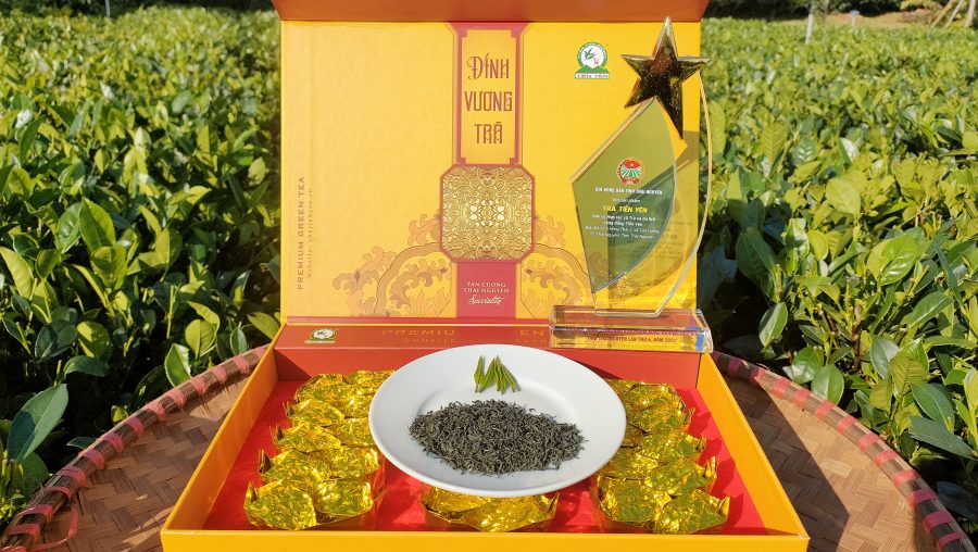 Tuoc Thiet Tea: The Lost Legend of Vietnam’s Ancient Sparrow Tongue Tea