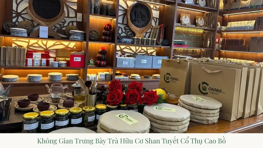LOST FAMOUS TEAS: The Vanished Heritage & Modern Revival