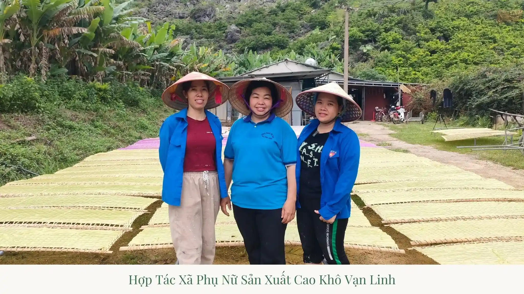 Van Linh Women’s Dry Rice Noodle Production Cooperative